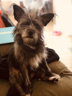 photo of Charleston M.