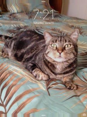 photo of Lorraine G.