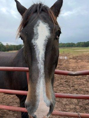 photo of Steffanie G.