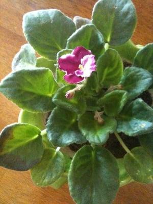 photo of Jennifer R.