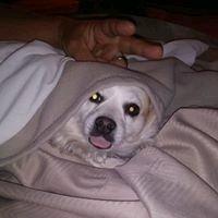 Photo of Bubba T.