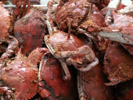 photo of Virginia M.