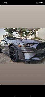 photo of IndominusRex 1.