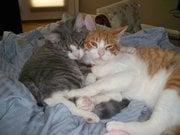 photo of Christie H.