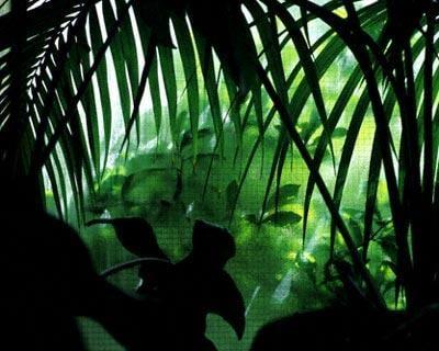 photo of fuck you p.