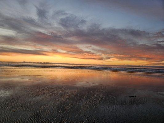 photo of Jeannnie M.