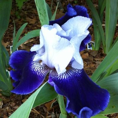 photo of Benjamen D.