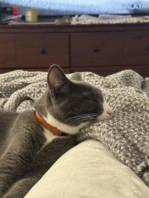 photo of Madeline G.