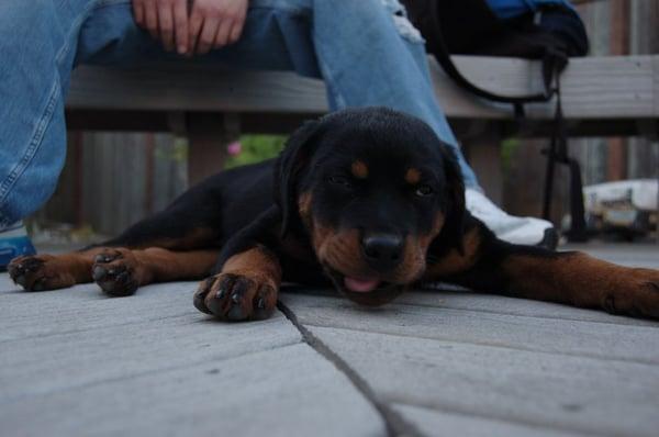 photo of Rei and Rick ..