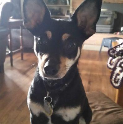 Photo of Ron Chris P.