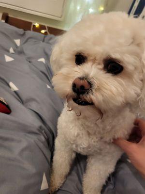 photo of Christine L.