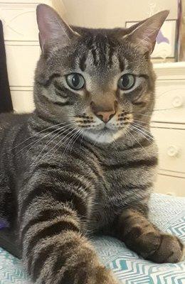 photo of PinkPanther B.