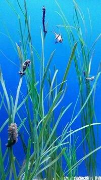 Photo of Branessa B.