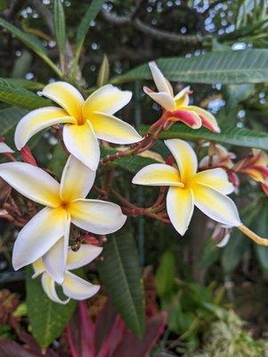 photo of Christine W.