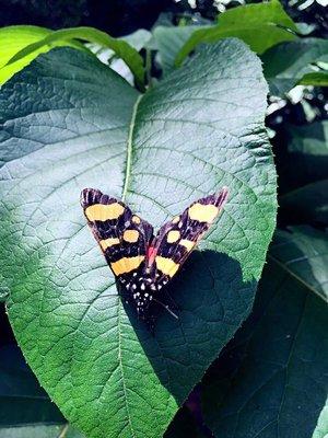 photo of Juanderful L.