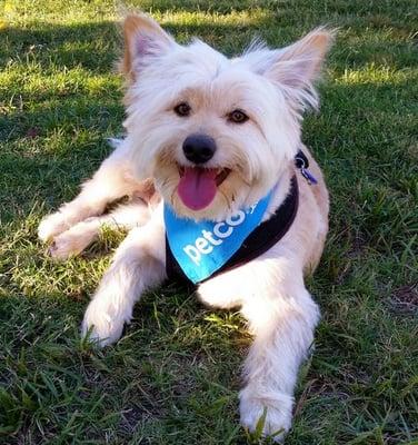 photo of Michelle B.