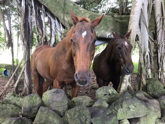 photo of Jeannine M.