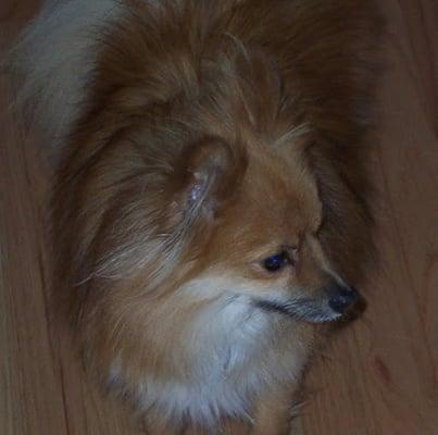 photo of Patricia M.