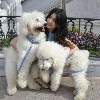 photo of Meryem B.