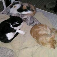 Photo of Jennifer M.