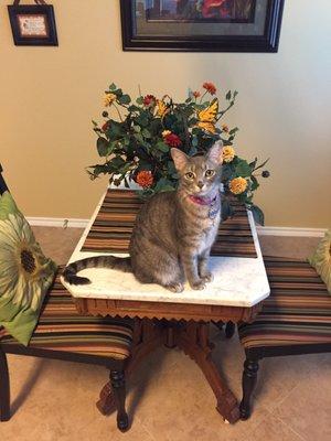 photo of Michelle L.