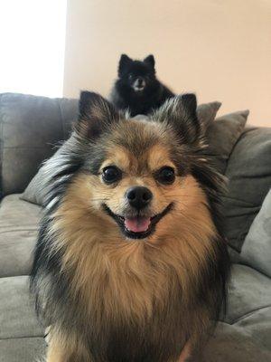 photo of Estrella C.