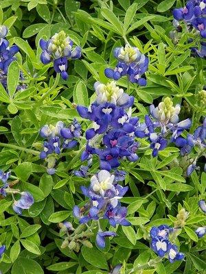 photo of Jennifer L.