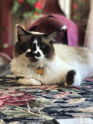 Photo of Jackie L.