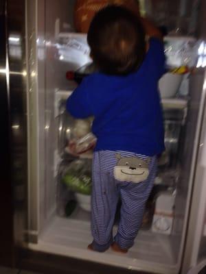 photo of Stephanie D.