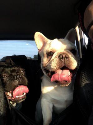 Photo of Deyanira S.