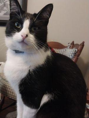Photo of Rory S.
