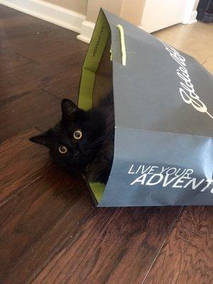 photo of Brittany G.