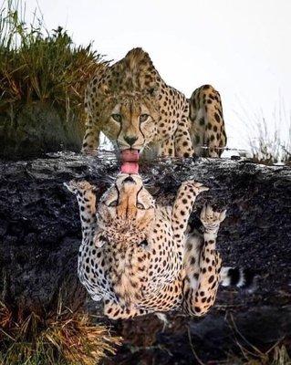 photo of Christina Y.