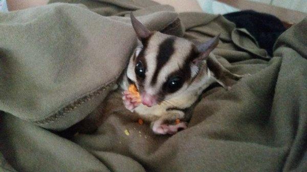 photo of Michelle J.