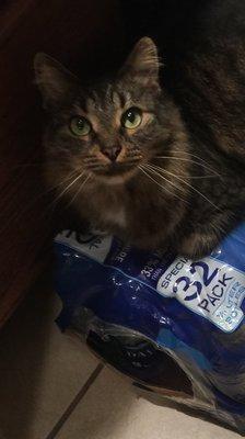 photo of Paulette B.