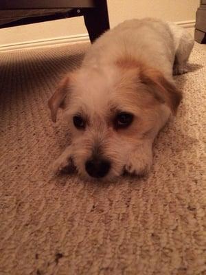 photo of Carolina D.