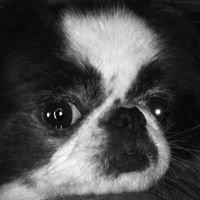 Photo of Tricia H.