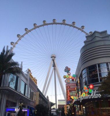 photo of Danielle G.