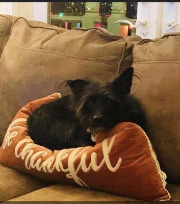 photo of Becky H.
