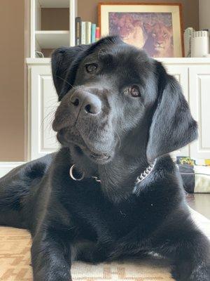 photo of JosieJustOkay O.