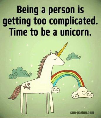 photo of Danielle H.