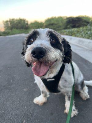 photo of Downapha B.