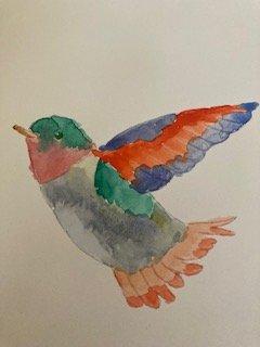 photo of Flamingo S.