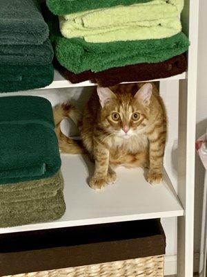 photo of Jennifer C.