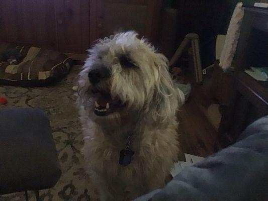 photo of Patricia T.