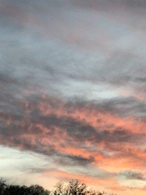 Photo of Michelle G.