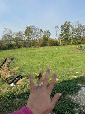 photo of Savannah B.