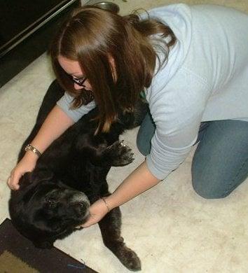 photo of Stephanie B.