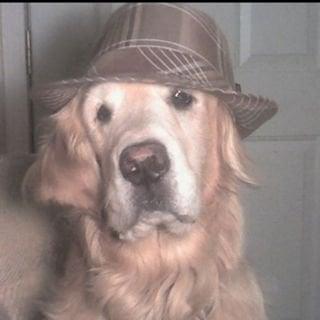 Photo of Tucker D.