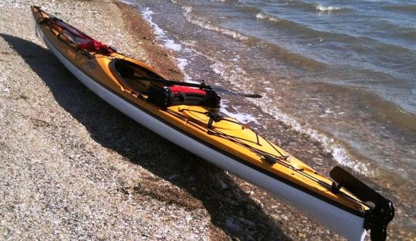 photo of Kangaroo D.